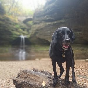 Meet your Posher, Timothy